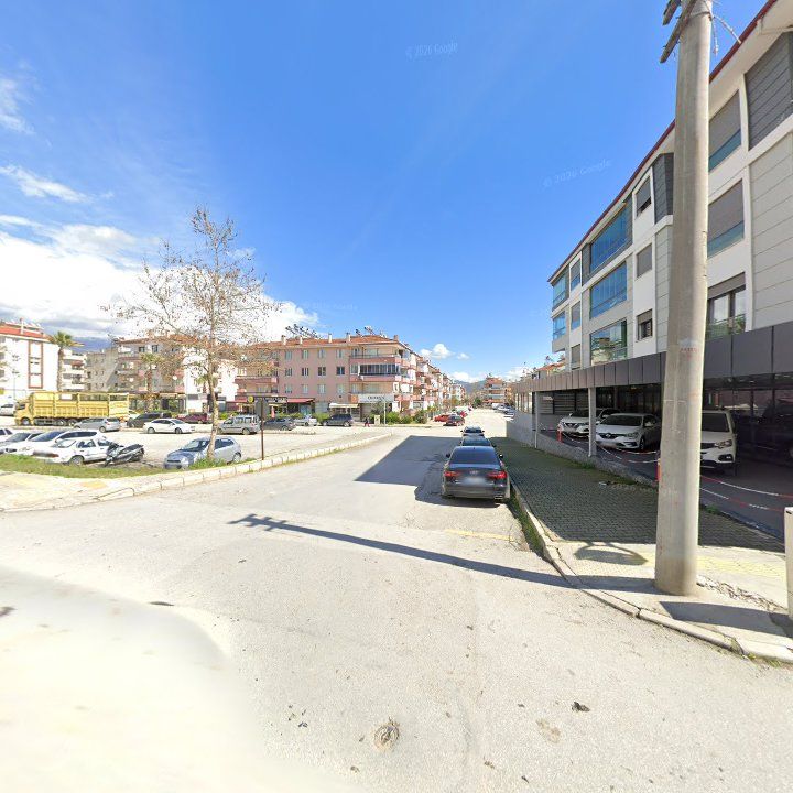 Fotoğraf 10