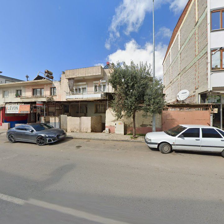 Fotoğraf 9