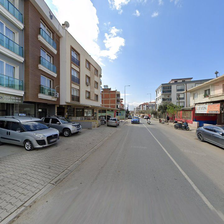 Fotoğraf 12
