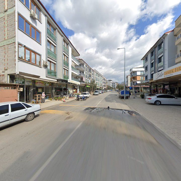 Fotoğraf 10