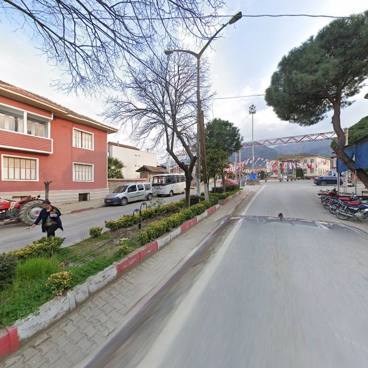 Fotoğraf 7