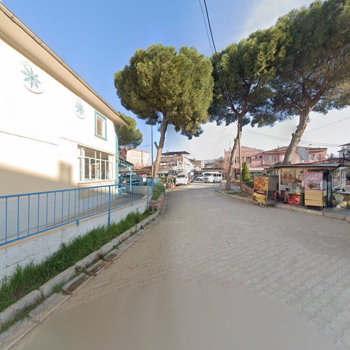 Fotoğraf 5