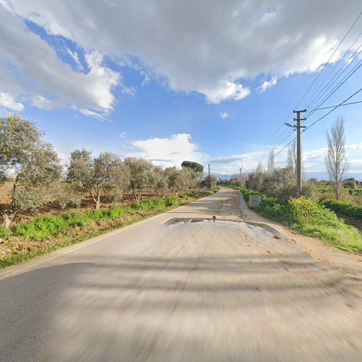 Fotoğraf 2