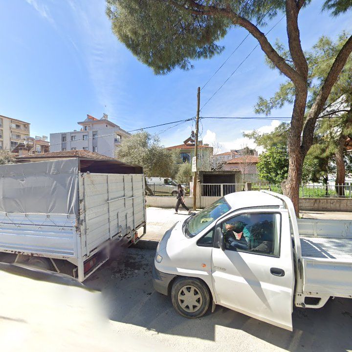 Fotoğraf 7
