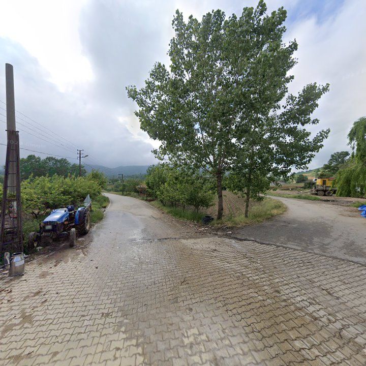 Fotoğraf 8