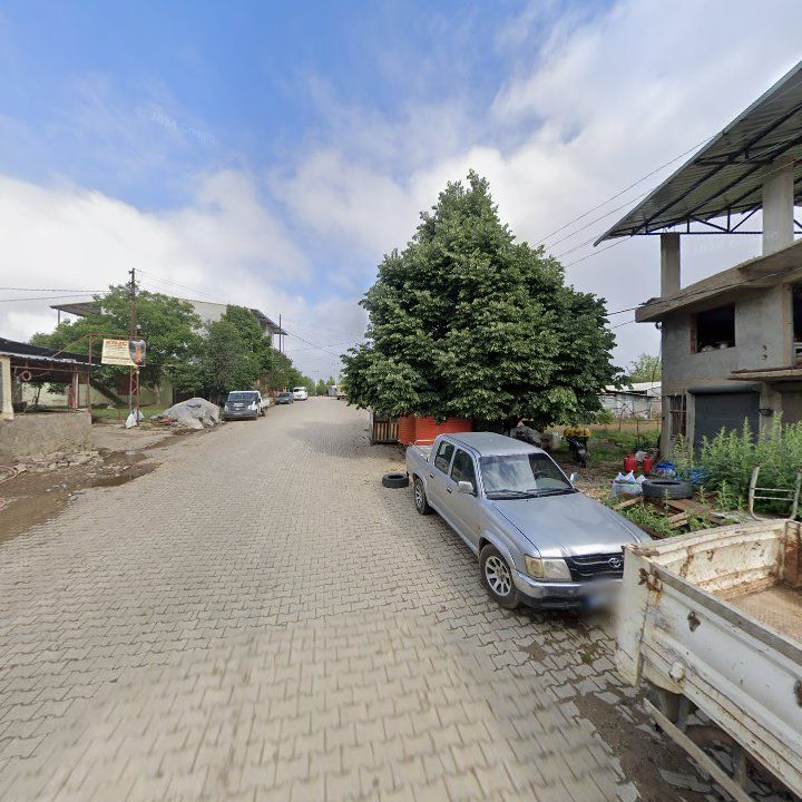 Fotoğraf 6