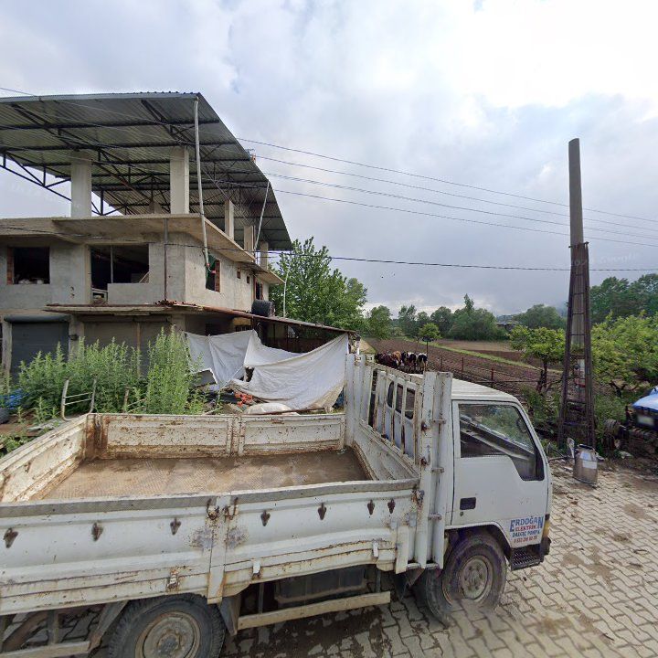 Fotoğraf 7