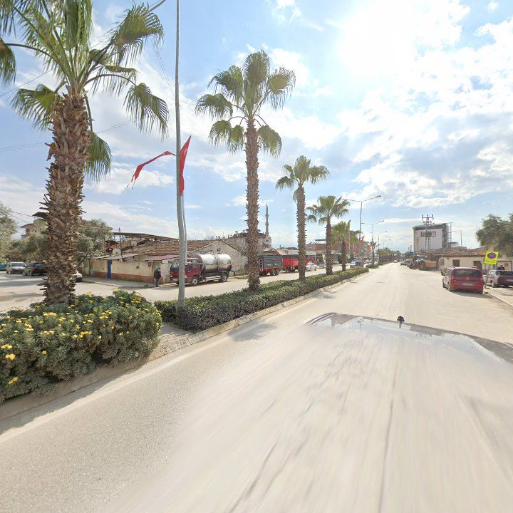 Fotoğraf 8
