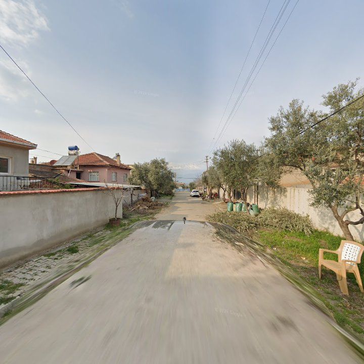 Fotoğraf 3