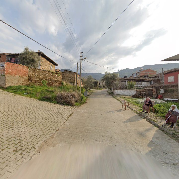 Fotoğraf 5