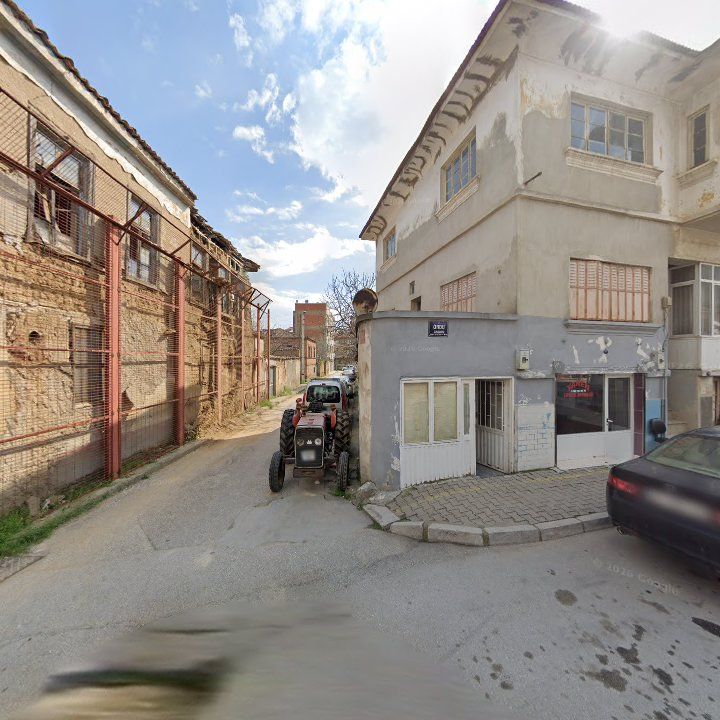 Fotoğraf 6