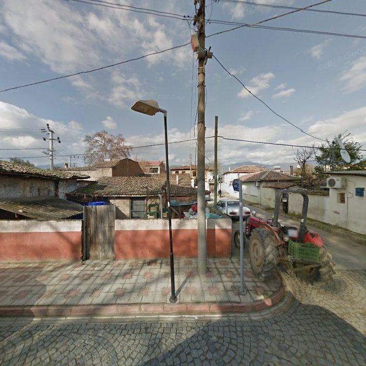 Fotoğraf 3