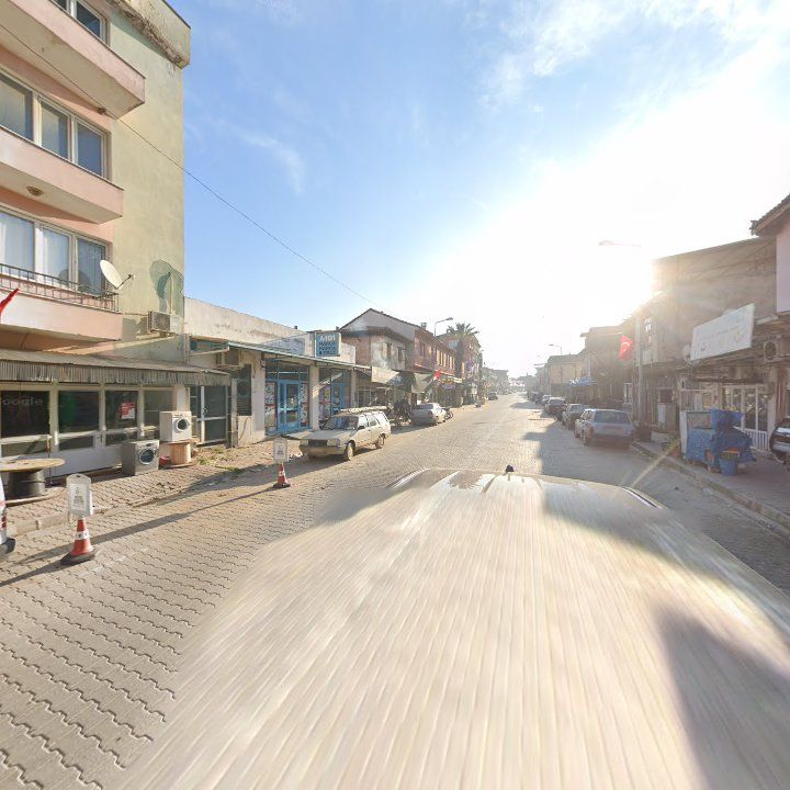 Fotoğraf 7
