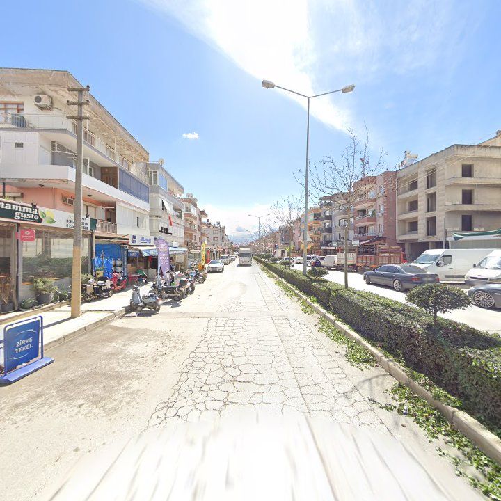 Fotoğraf 7