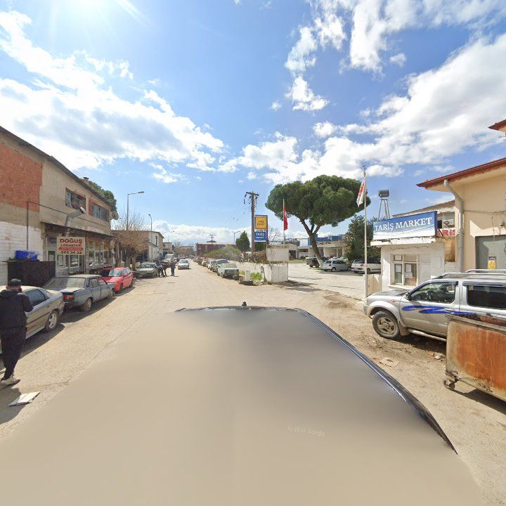 Fotoğraf 8