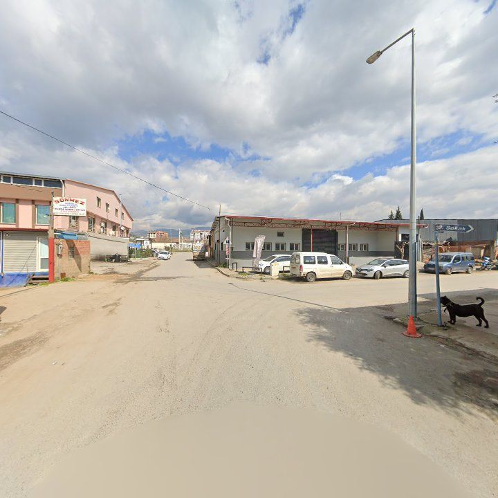 Fotoğraf 6