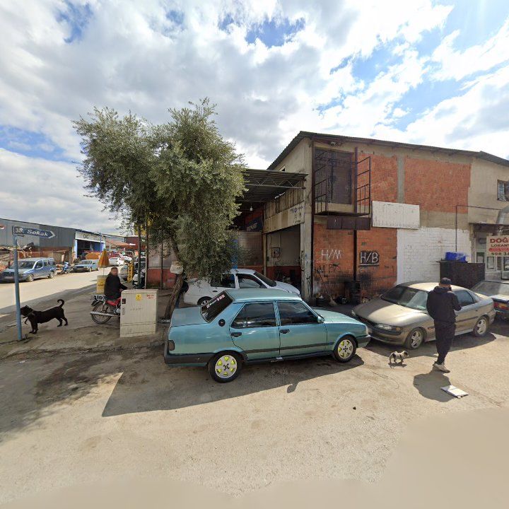 Fotoğraf 7