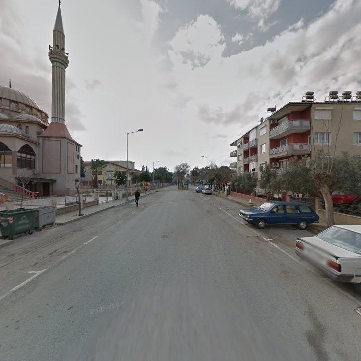 Fotoğraf 9