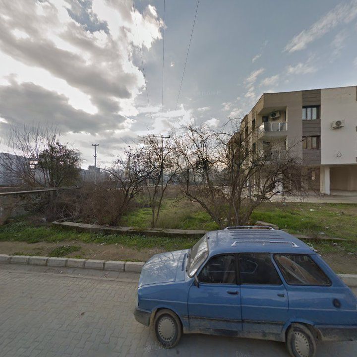 Fotoğraf 7