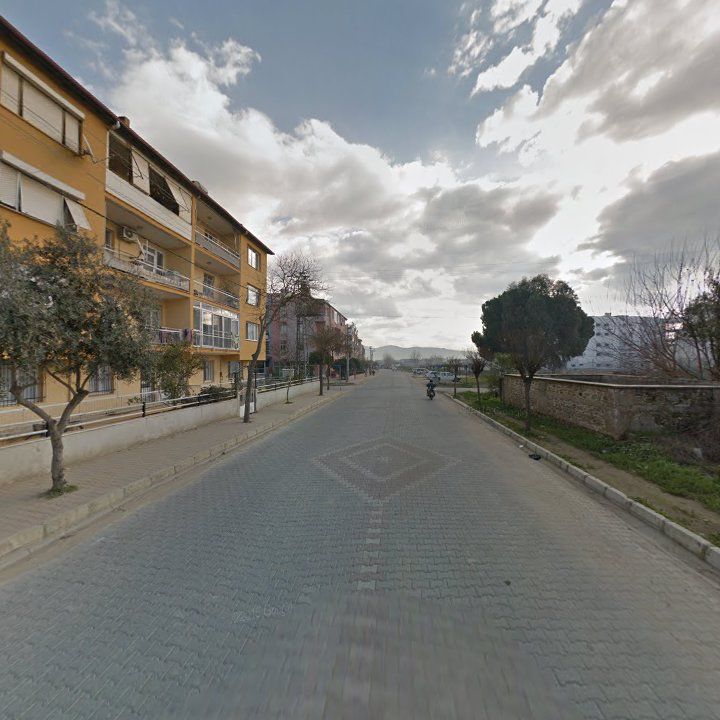 Fotoğraf 6