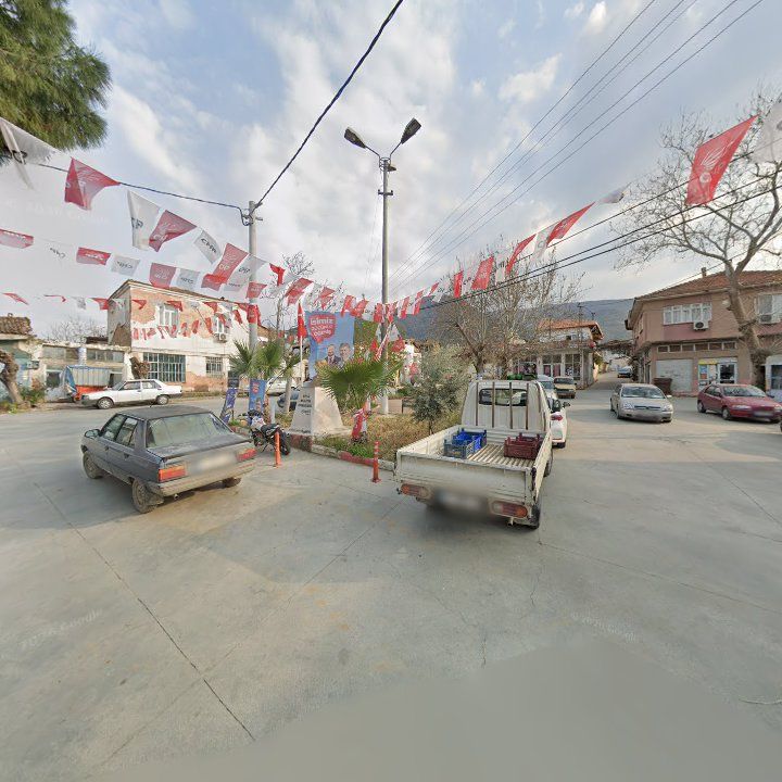 Fotoğraf 3