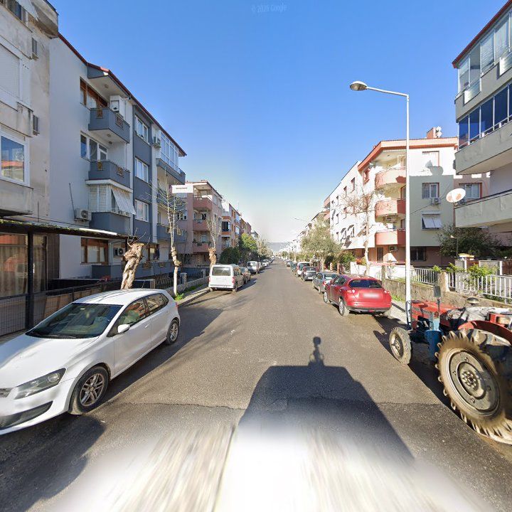 Fotoğraf 7