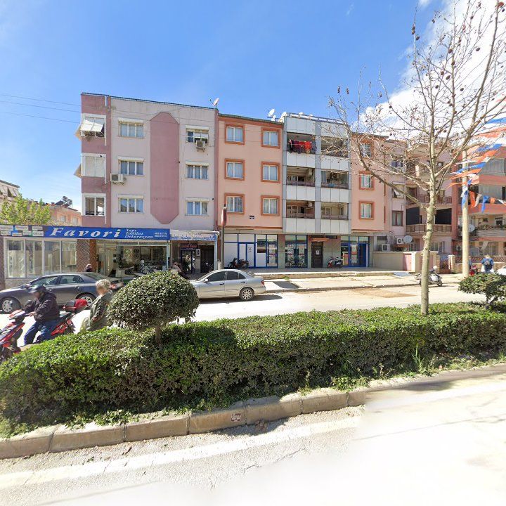 Fotoğraf 6