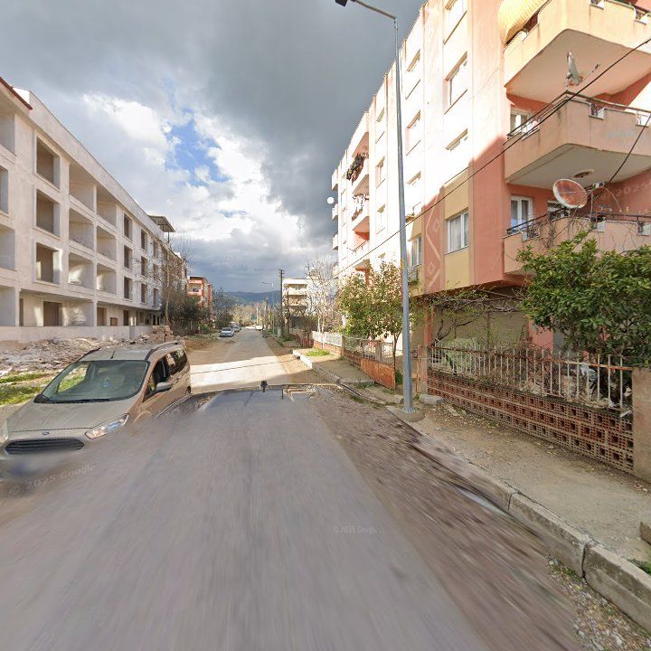Fotoğraf 7