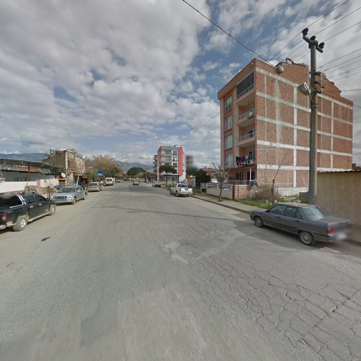 Fotoğraf 3