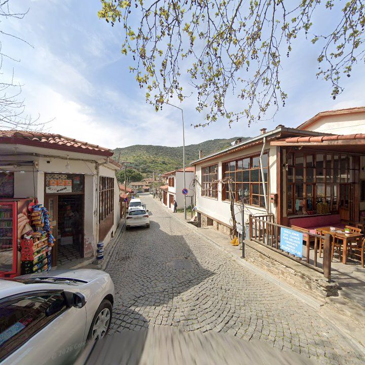 Fotoğraf 9