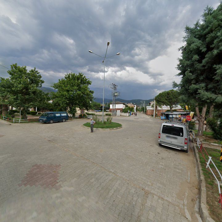 Fotoğraf 7