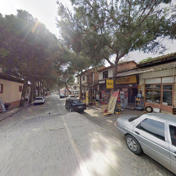 Fotoğraf 7