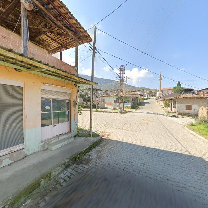 Fotoğraf 6