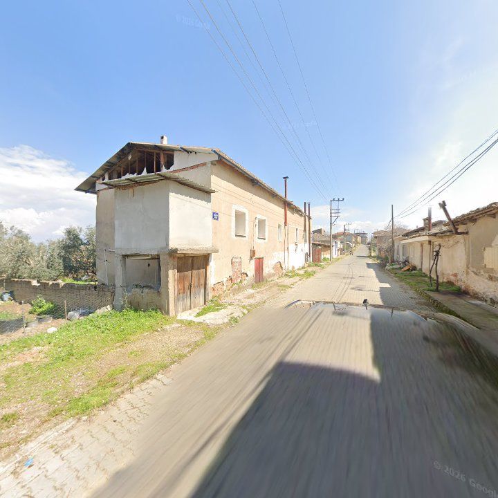 Fotoğraf 8