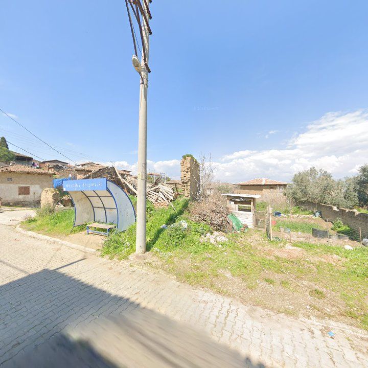 Fotoğraf 7