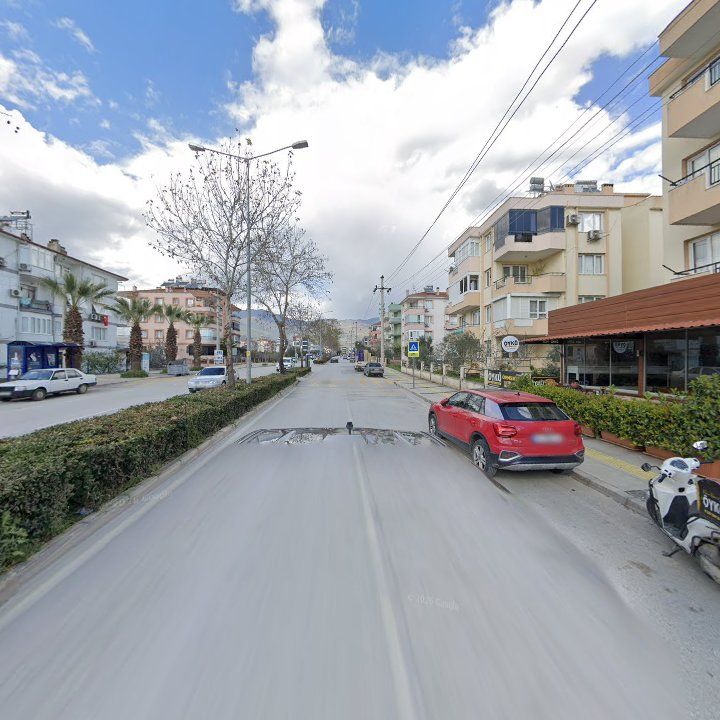 Fotoğraf 12