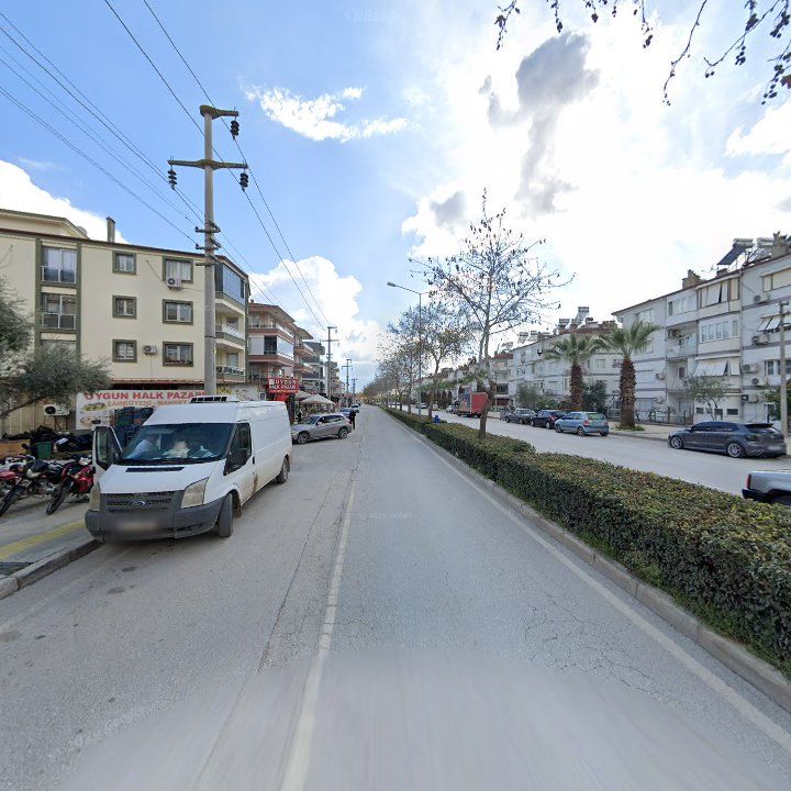Fotoğraf 10