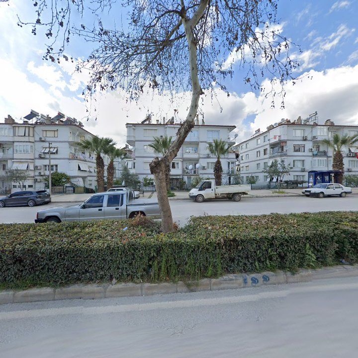 Fotoğraf 11