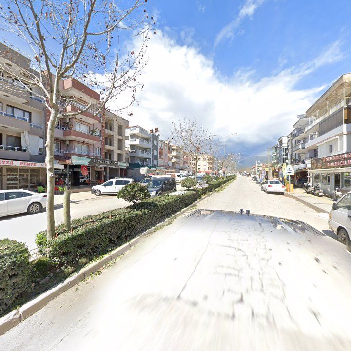 Fotoğraf 10