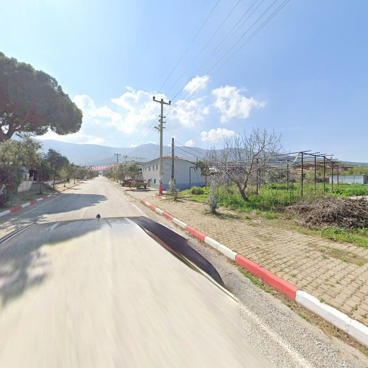 Fotoğraf 4