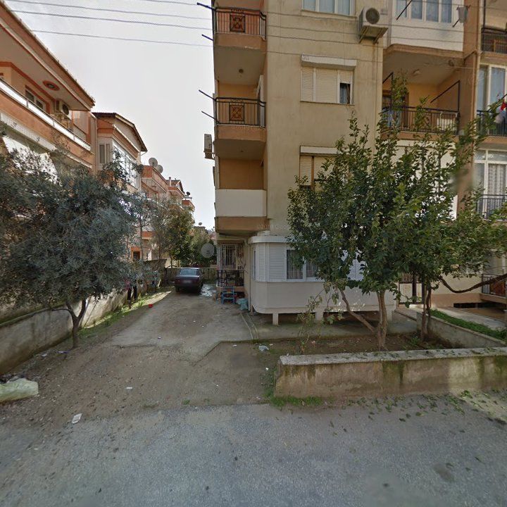 Fotoğraf 6