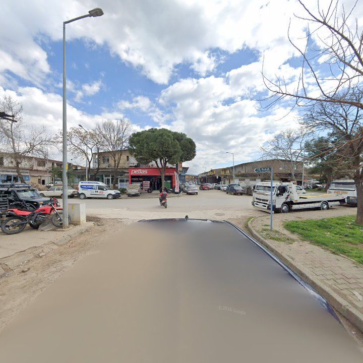 Fotoğraf 3