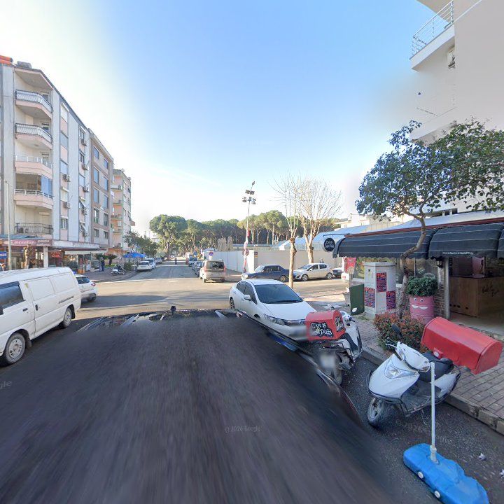 Fotoğraf 9