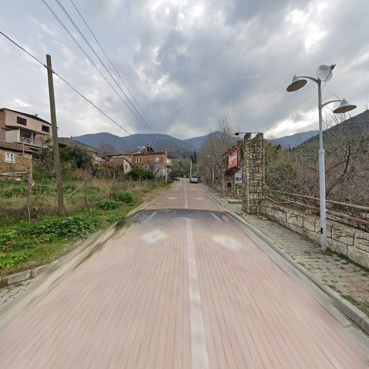 Fotoğraf 9
