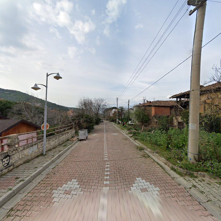 Fotoğraf 7