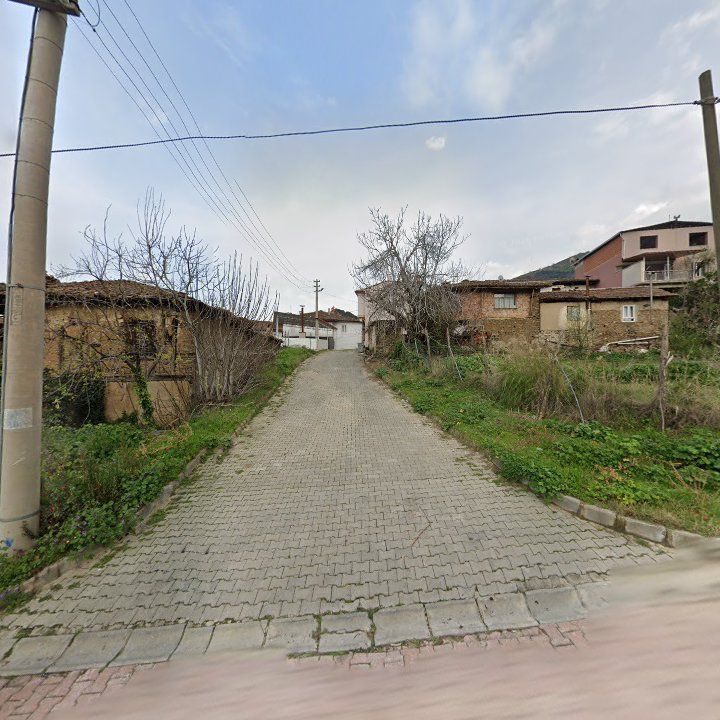 Fotoğraf 8