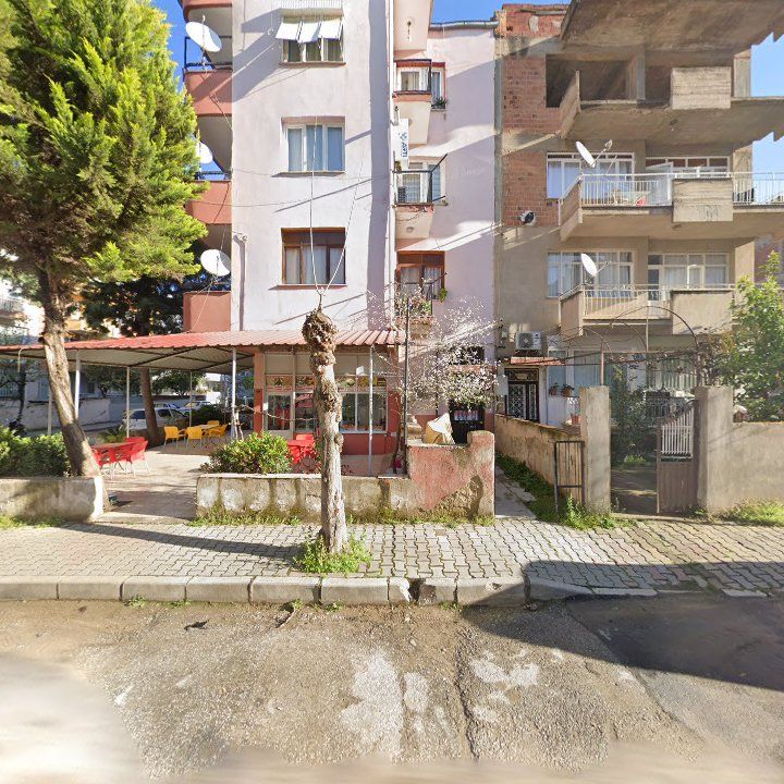 Fotoğraf 8