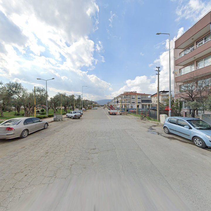 Fotoğraf 7