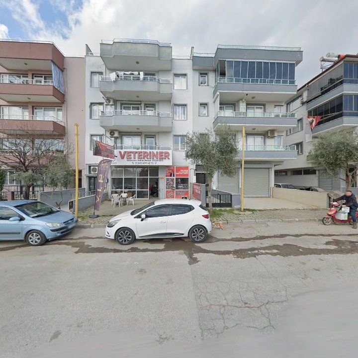 Fotoğraf 8