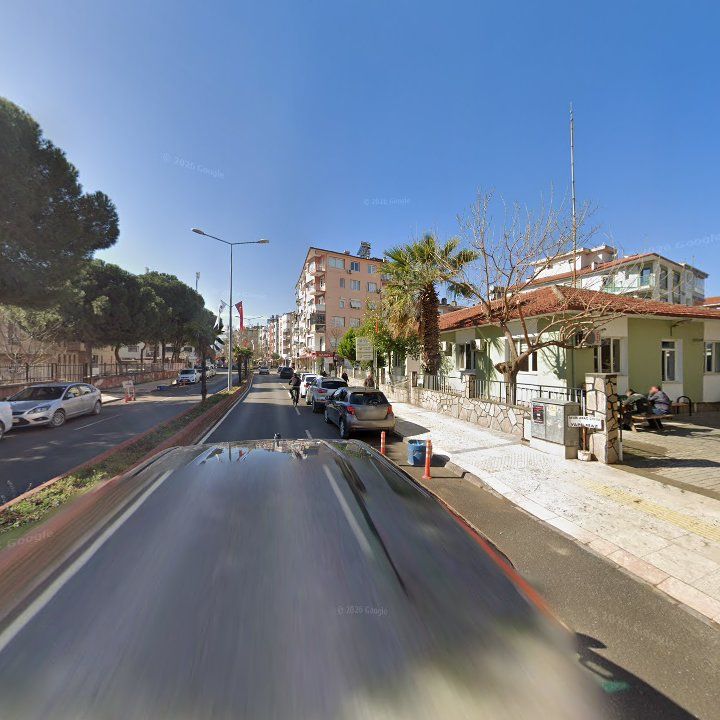Fotoğraf 7